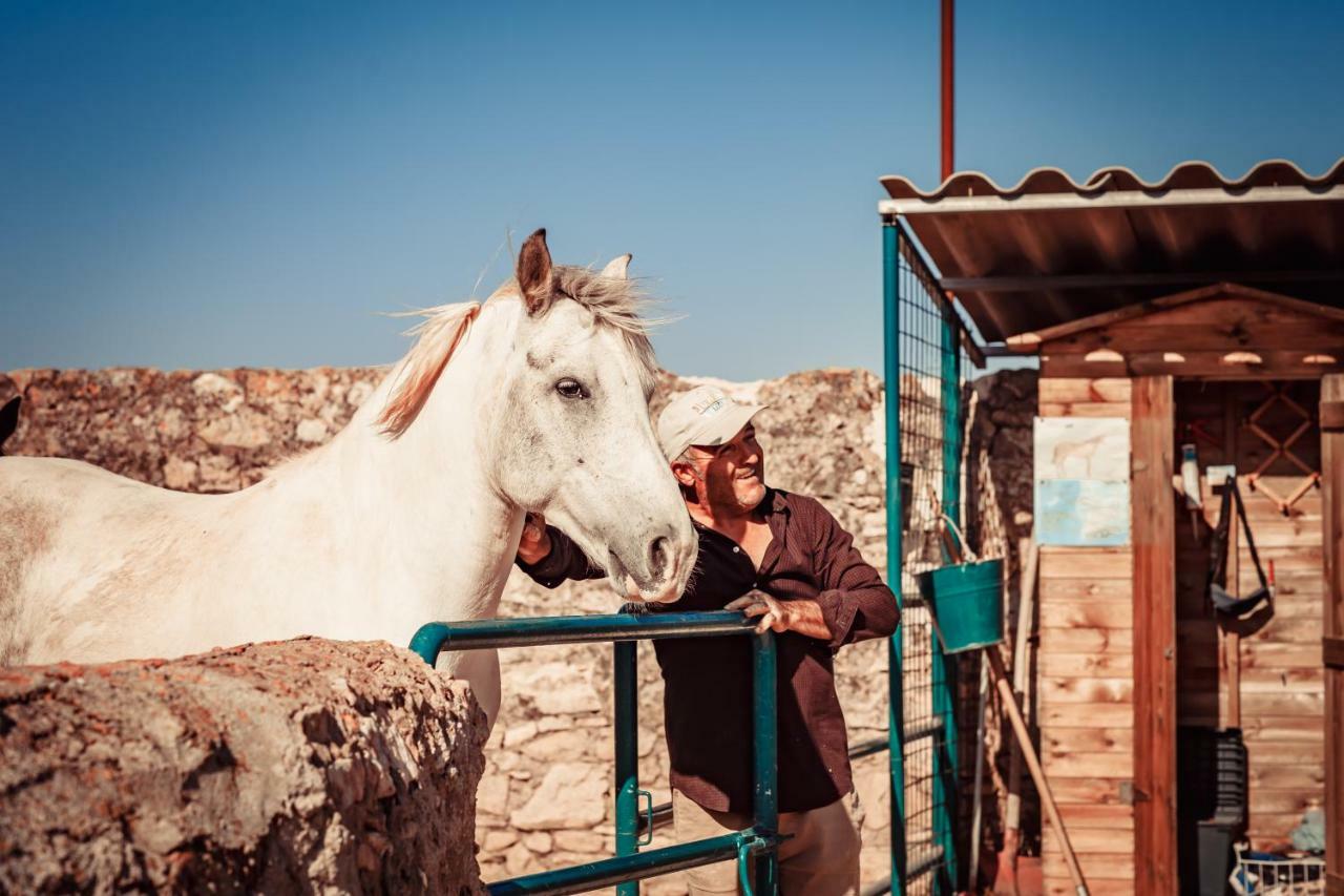 מנפי Agriturismo Tenuta Stoccatello מראה חיצוני תמונה