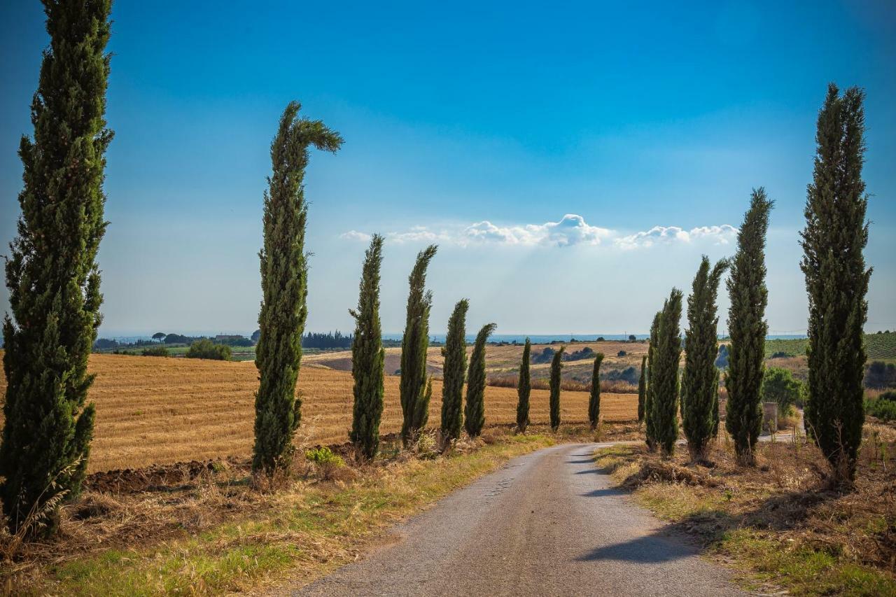 מנפי Agriturismo Tenuta Stoccatello מראה חיצוני תמונה